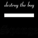 Buy Destroy The Boy (EP)