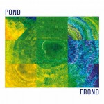 Buy Frond