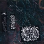 Buy Allegory Of Allergies CD2