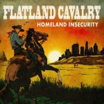 Buy Homeland Insecurity