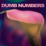 Buy Dumb Numbers