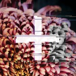 Buy +FE Music: The Reworks CD2