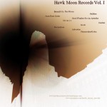 Buy Hawk Moon Records Vol. 1