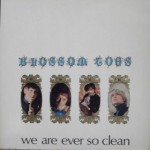 Buy We Are Ever So Clean