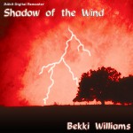 Buy Shadow Of The Wind