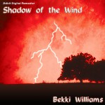 Buy Shadow Of The Wind