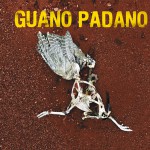 Buy Guano Padano