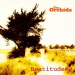 Buy Beatitude #9
