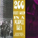 Buy Incredible Sound Show Stories Vol. 3: 200 Feet Deep In A Purple Idea (Vinyl)