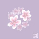 Buy Plum Blossom