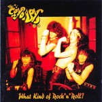 Buy What Kind Of Rock 'N' Roll? CD2