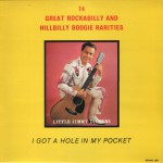 Buy little jimmie dickens-great rockabilly