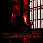 Buy Portrait Of The Goddess