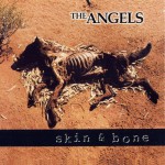 Buy Skin & Bone