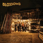 Buy Blossoms