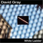 Buy White Ladder