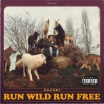Buy Run Wild Run Free