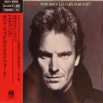 Buy Why Should I Cry For You (Japanese Edition) (MCD)