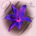 Buy Violet Flower