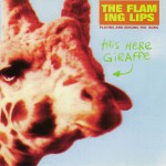 Buy This Here Giraffe (Vinyl)