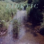 Buy Eidetic