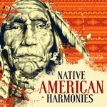 Buy Native American Harmonies