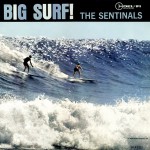 Buy Big Surf!