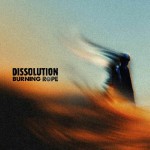 Buy Dissolution