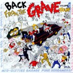 Buy Back From The Grave Vol. 4 (Vinyl)