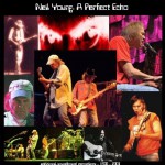 Buy A Perfect Echo Vol. 5 (2002-2003) CD1