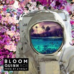 Buy Bloom