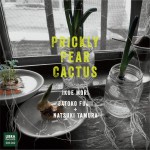 Buy Prickly Pear Cactus