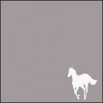 Buy White Pony