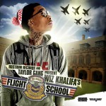 Buy Flight School