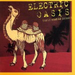 Buy Electric Oasis: Exotic Arabian Grooves