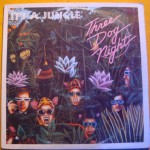 Buy It's A Jungle (EP) (Vinyl)