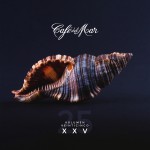 Buy Café Del Mar Xxv (Vol. 25) CD2