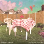 Buy Pleasant Pudding