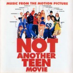 Buy Not Another Teen Movie