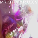 Buy R.M.X V