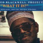 Buy Project Vol.1: What It Is?