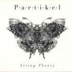 Buy String Theory