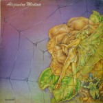 Buy Alejandro Medina (Vinyl)