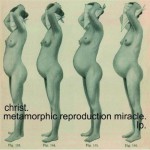 Buy Metamorphic Reproduction Miracle
