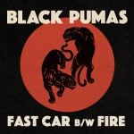 Buy Fast Car B/W Fire (CDS)