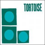 Buy Tortoise