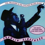 Buy Crawlin' Kingsnake