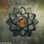 Buy Lotus