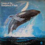 Buy Songs Of The Humpback Whale (Vinyl)