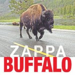 Buy Buffalo